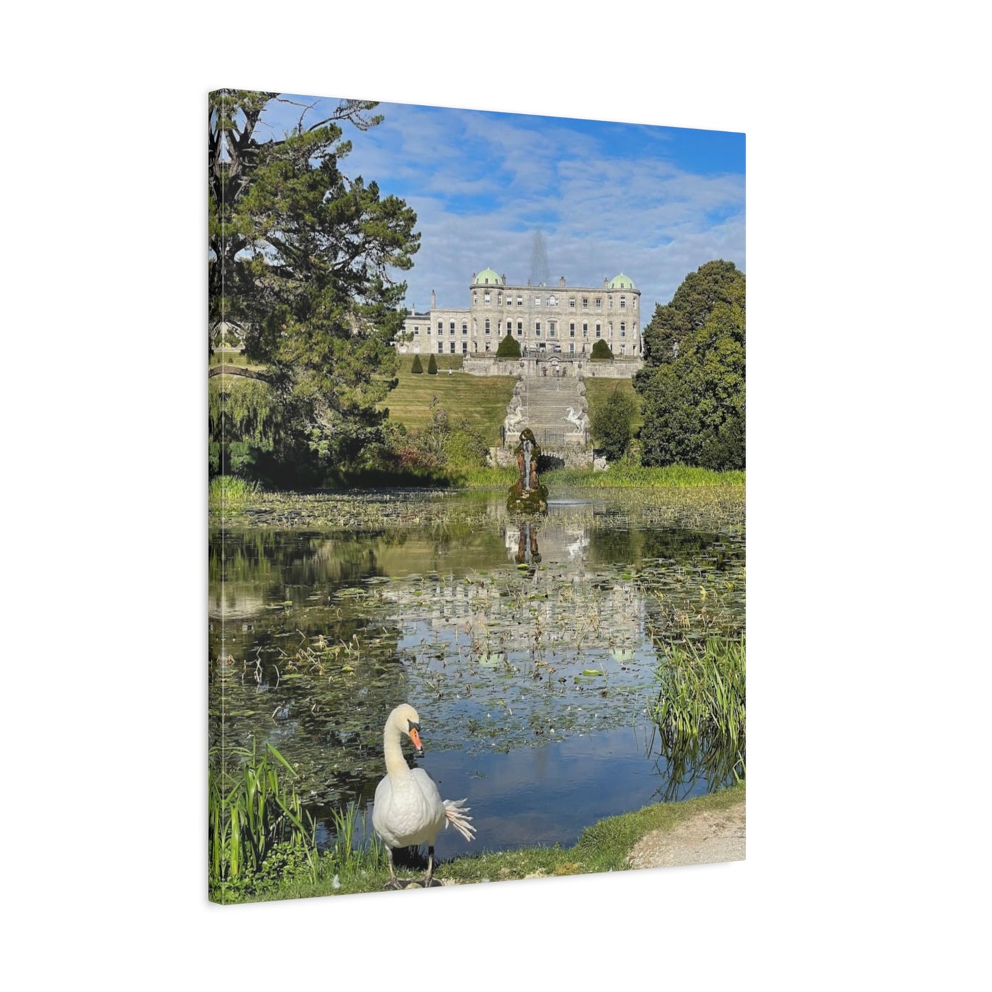 Stretched Matte Canvas Print - Serene Swan Reflection in Nature Powerscourt Estate, Wicklow Ireland