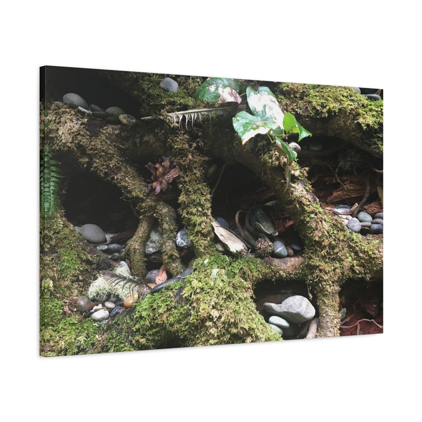 Nature-Inspired Matte Canvas Wall Art - Serene Root and Stone Design
