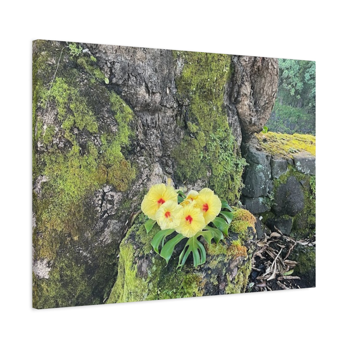 Floral Matte Canvas Art - Yellow Orchid and Moss Decor