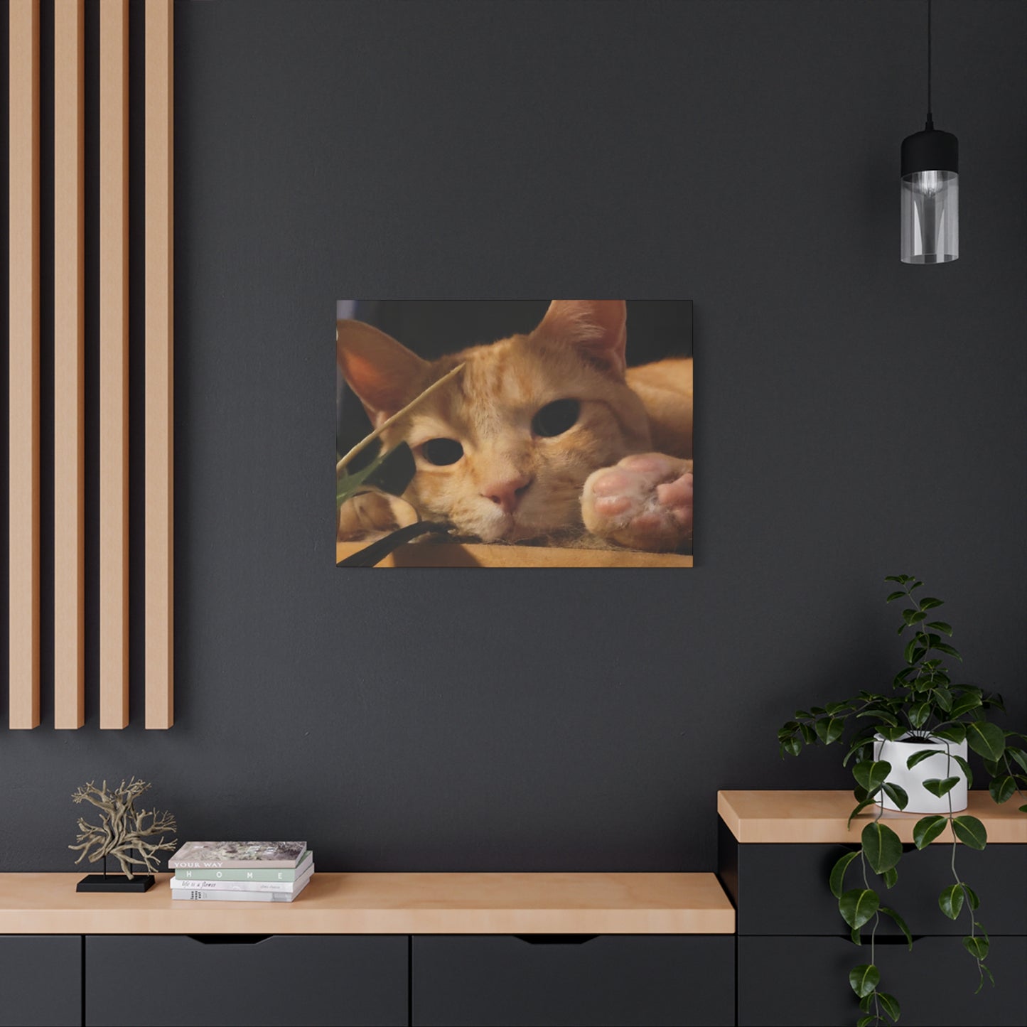 Cozy Cat Canvas Art - Stretched Matte Print for Cat Lovers