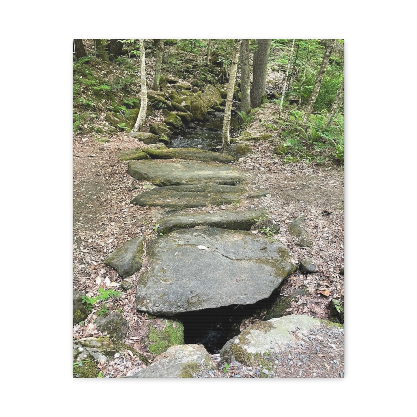 Nature-Inspired Stretched Canvas Art - Serene Stream Pathway Décor