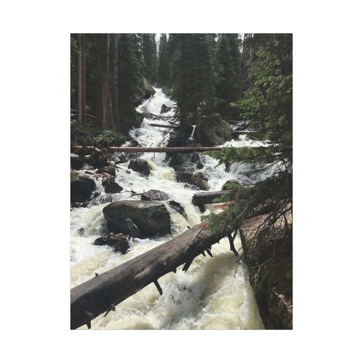 Nature Waterfall Canvas Art - Stretched Matte Wall Decor