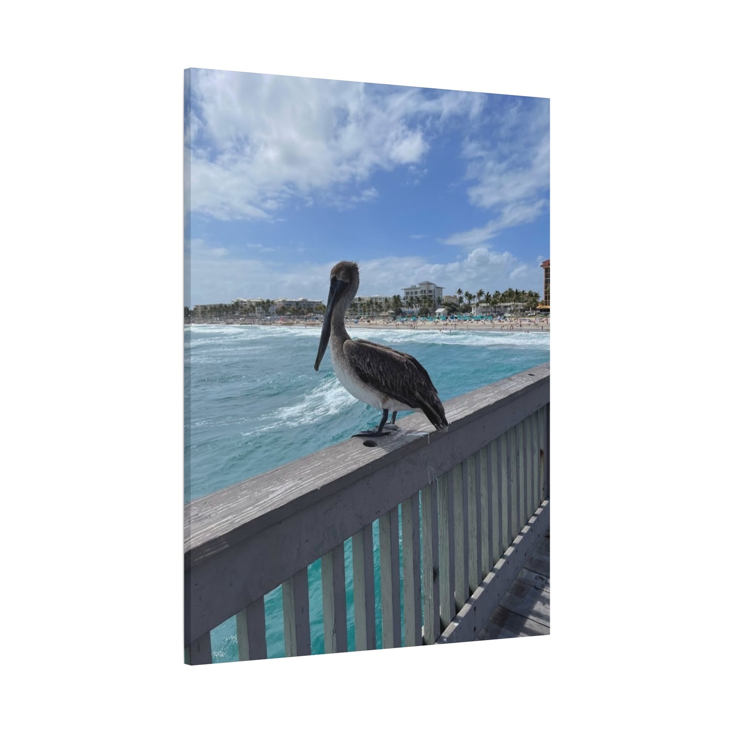 Coastal Serenity Pelican Canvas Print - 1.25" Stretched Wall Art