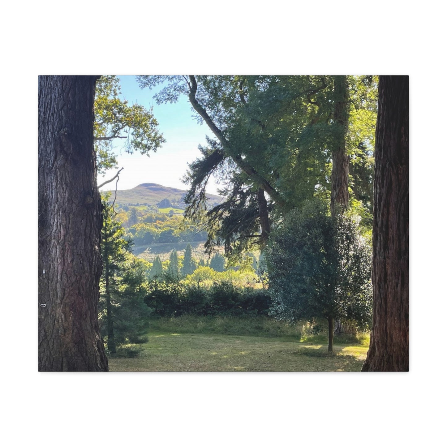 Nature-Inspired Matte Canvas Wall Art - Scenic Landscape Decor