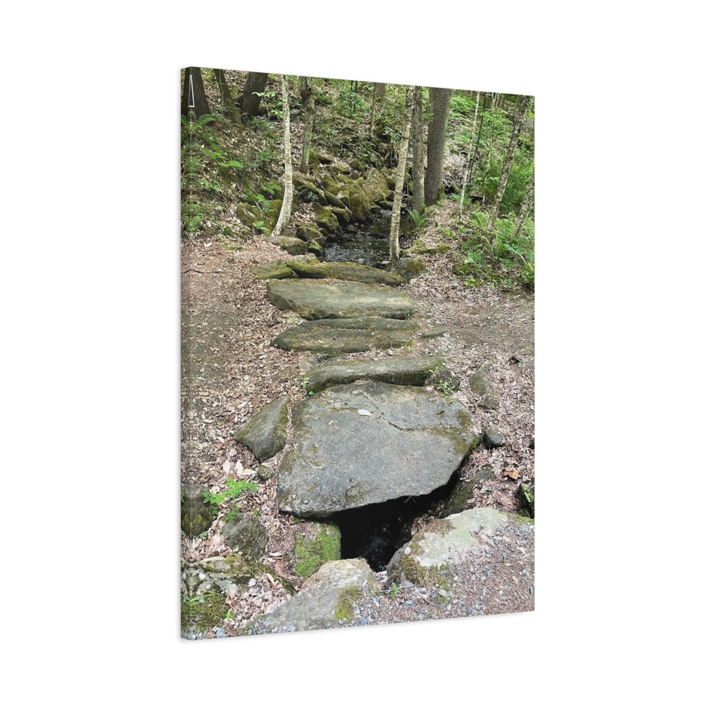 Nature-Inspired Stretched Canvas Art - Serene Stream Pathway Décor