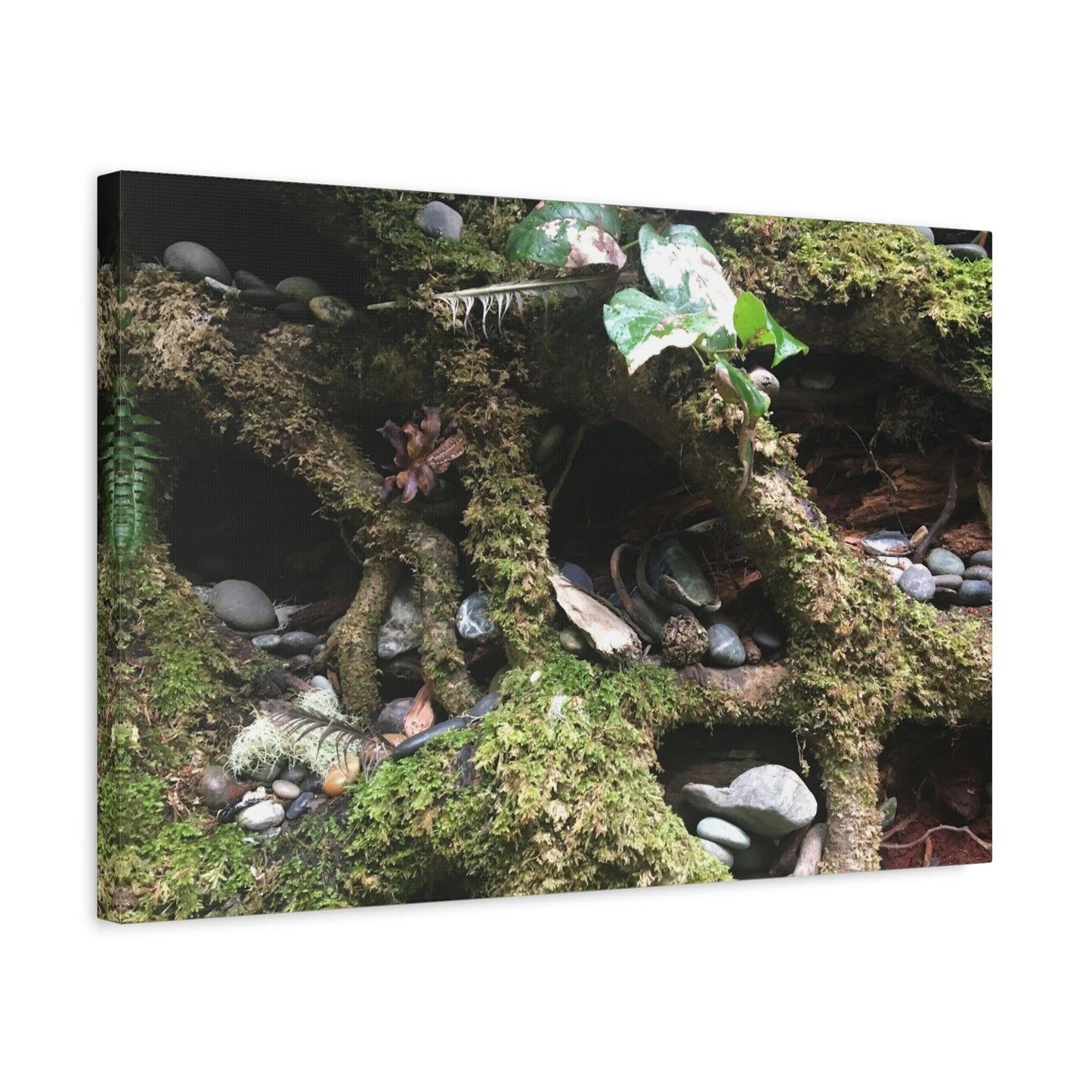 Nature-Inspired Matte Canvas Wall Art - Serene Root and Stone Design