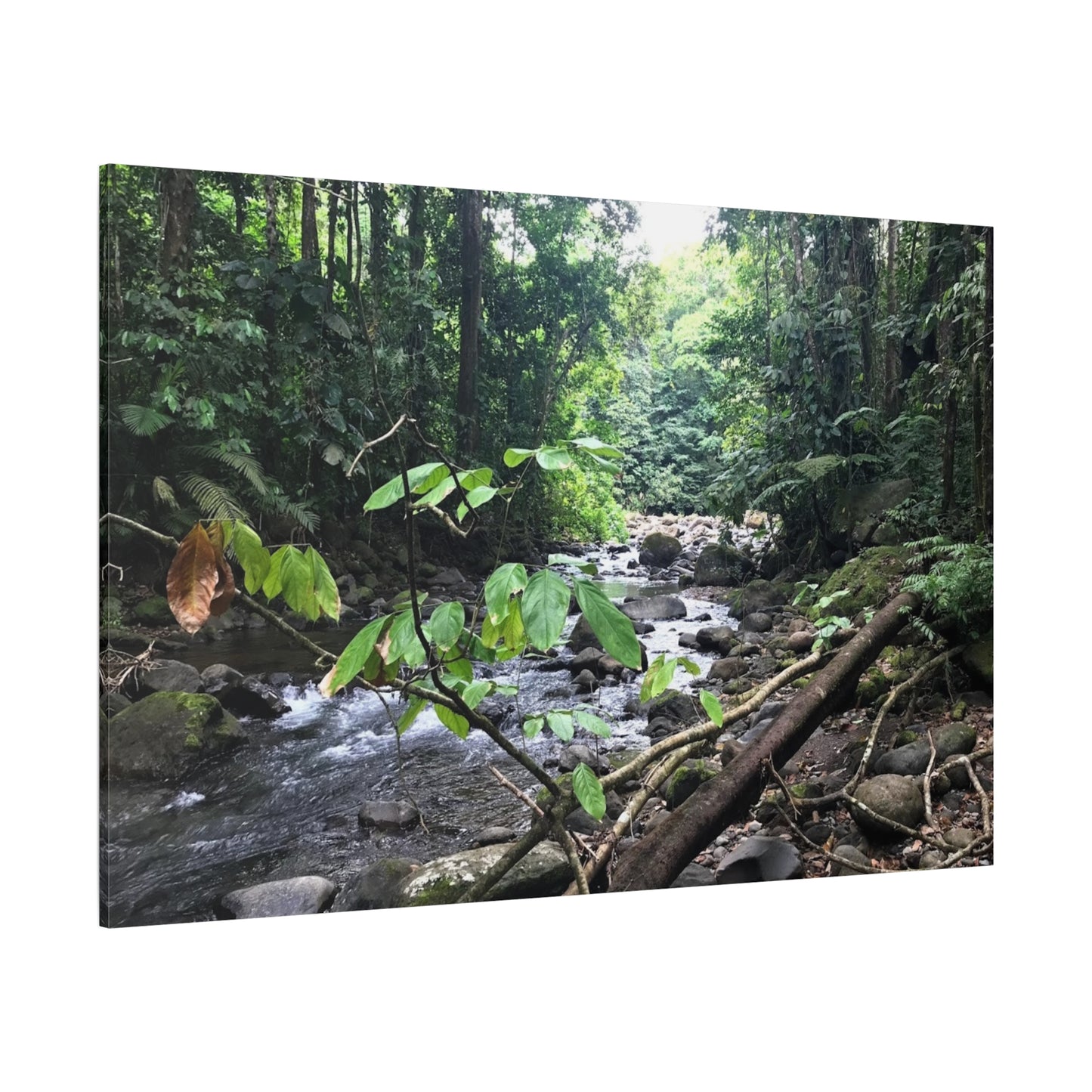 Nature-Inspired Matte Canvas Wall Art - Serene River Scene