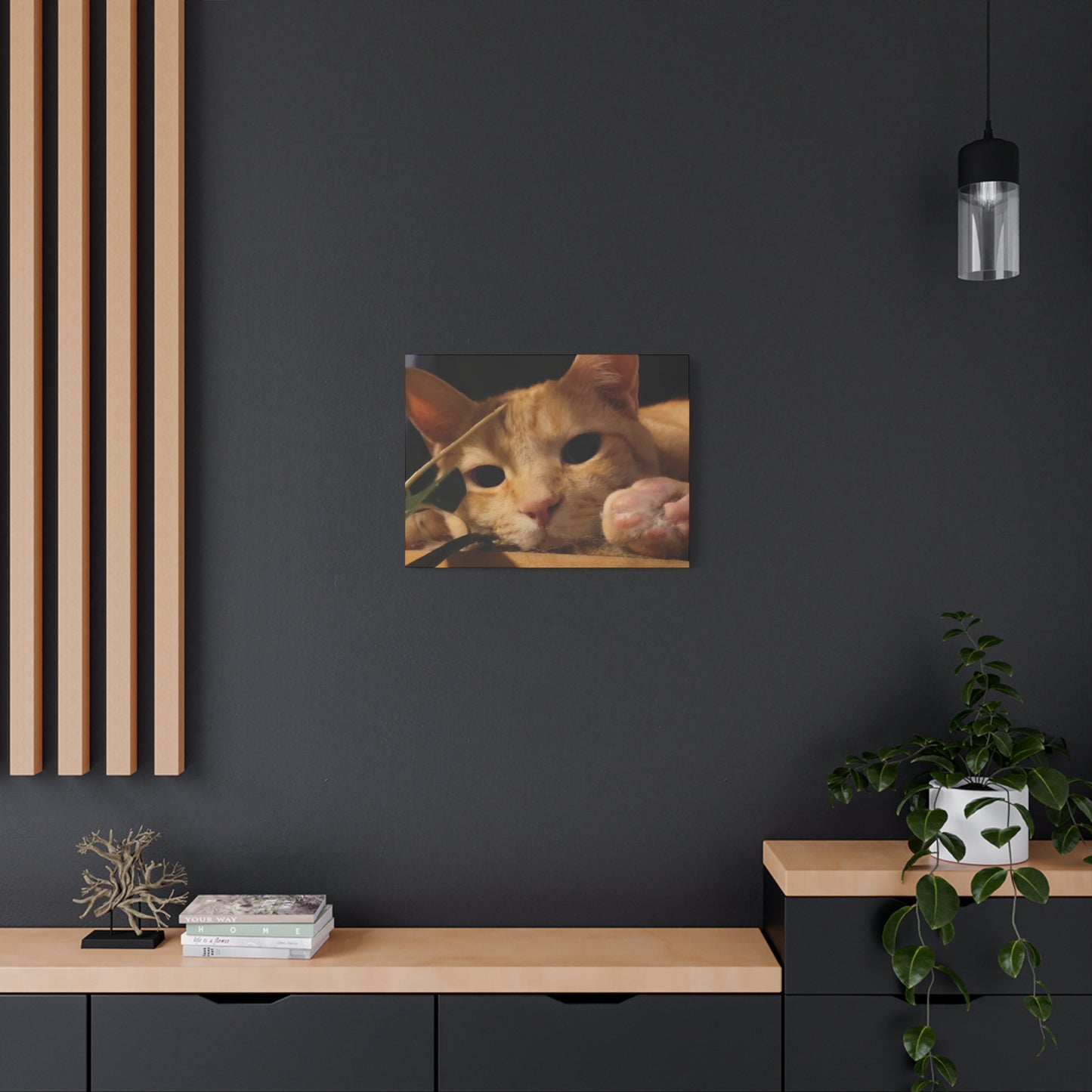 Cozy Cat Canvas Art - Stretched Matte Print for Cat Lovers