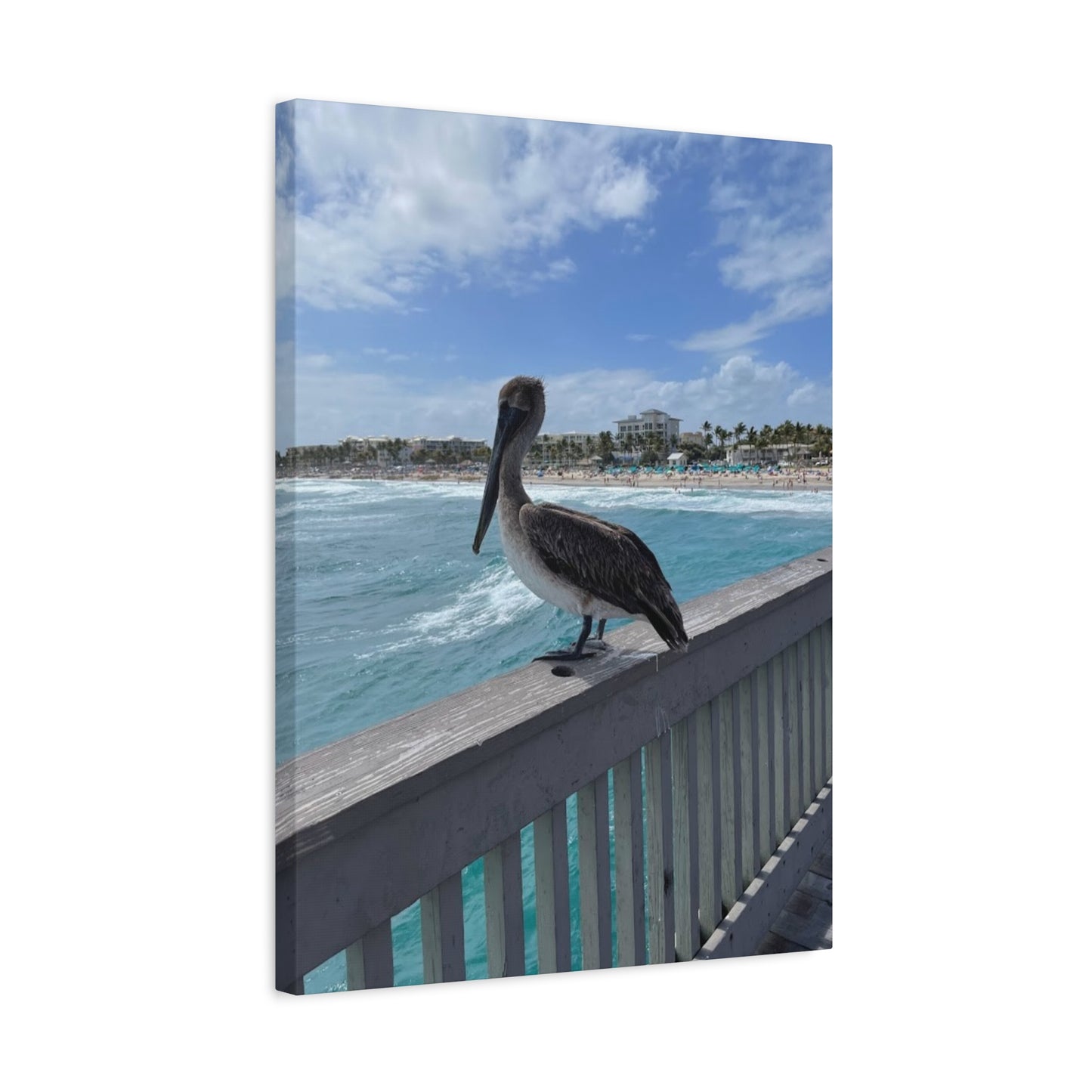 Coastal Serenity Pelican Canvas Print - 1.25" Stretched Wall Art