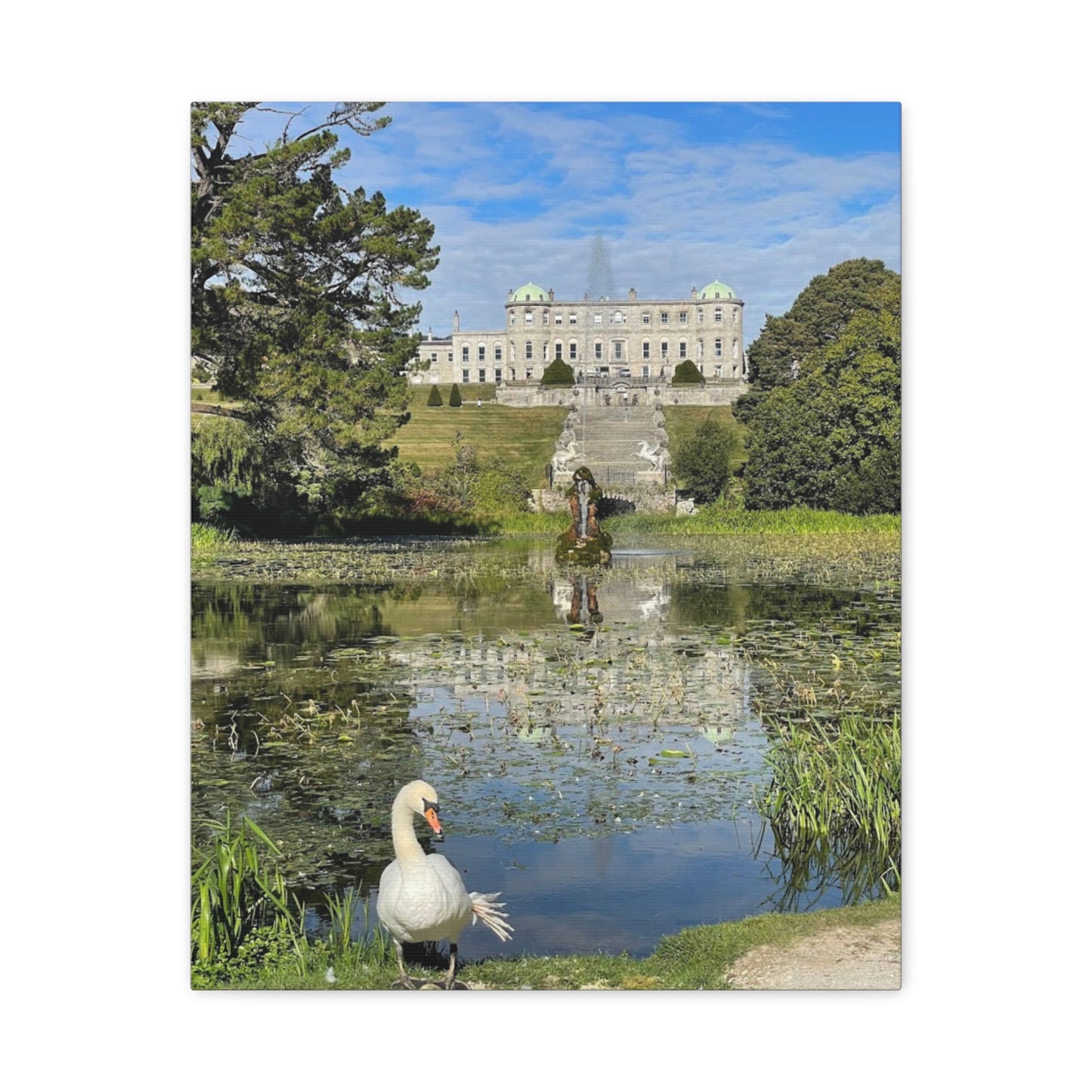 Stretched Matte Canvas Print - Serene Swan Reflection in Nature Powerscourt Estate, Wicklow Ireland