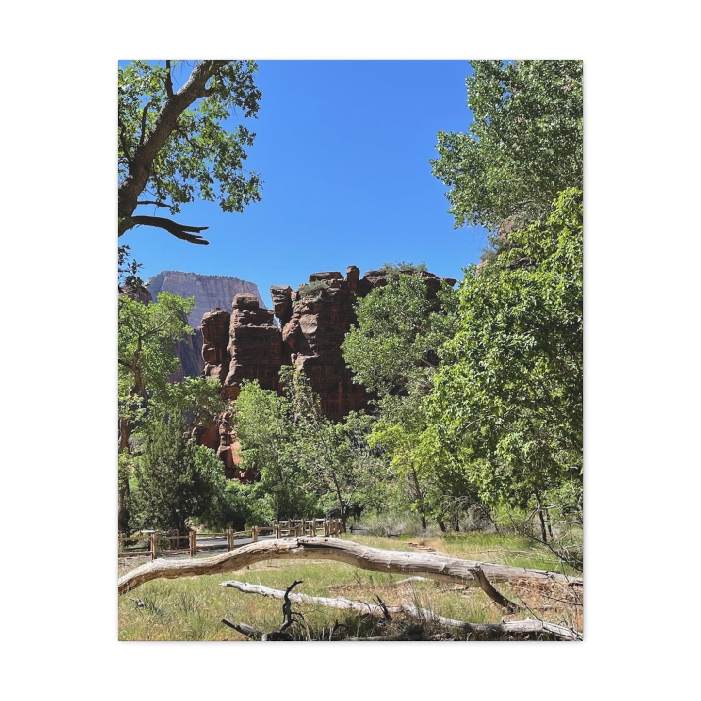 Stretched Canvas Art - Scenic Nature Landscape