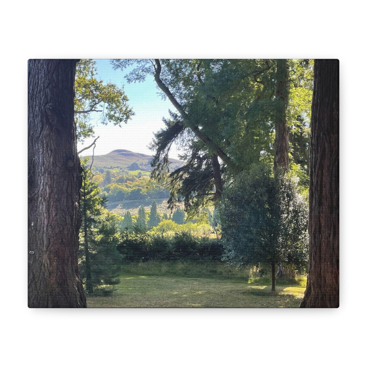 Nature-Inspired Matte Canvas Wall Art - Scenic Landscape Decor