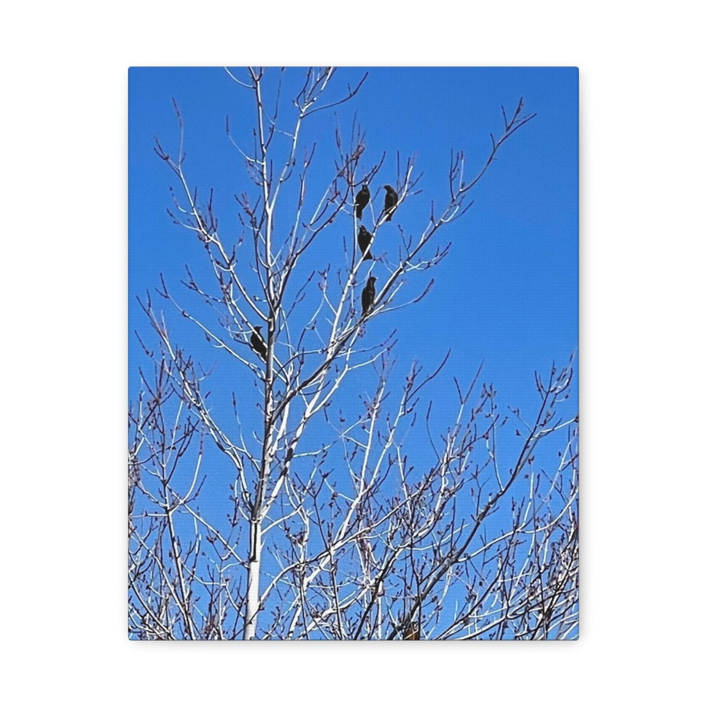 Serene Bird Canvas Wall Art - Tranquil Nature Decor for Home and Office