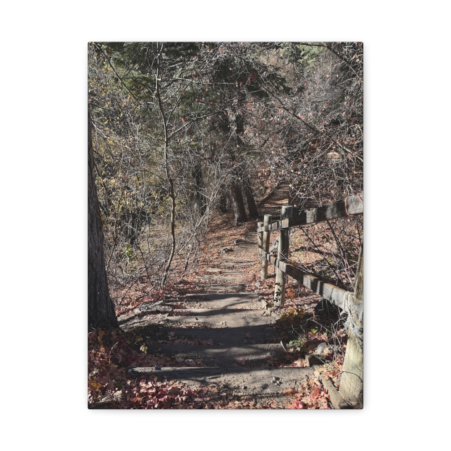 Nature Path Matte Canvas Wall Art - Tranquil Landscape Decor