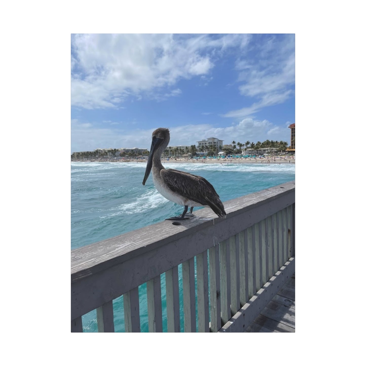 Coastal Serenity Pelican Canvas Print - 1.25" Stretched Wall Art