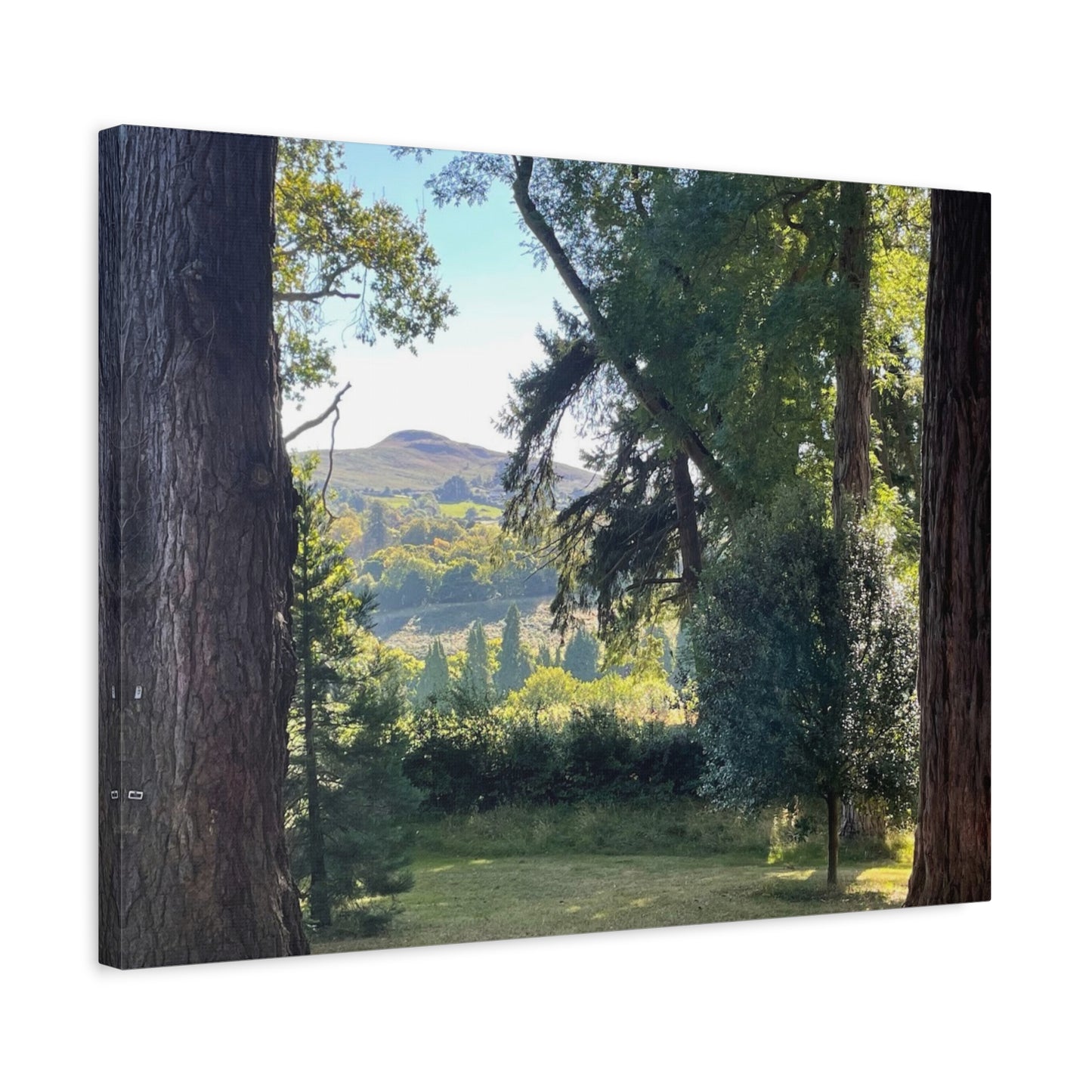Nature-Inspired Matte Canvas Wall Art - Scenic Landscape Decor