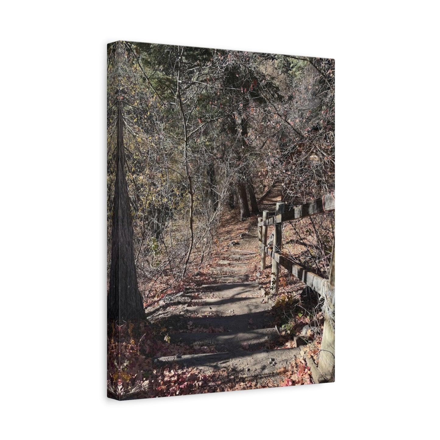 Nature Path Matte Canvas Wall Art - Tranquil Landscape Decor