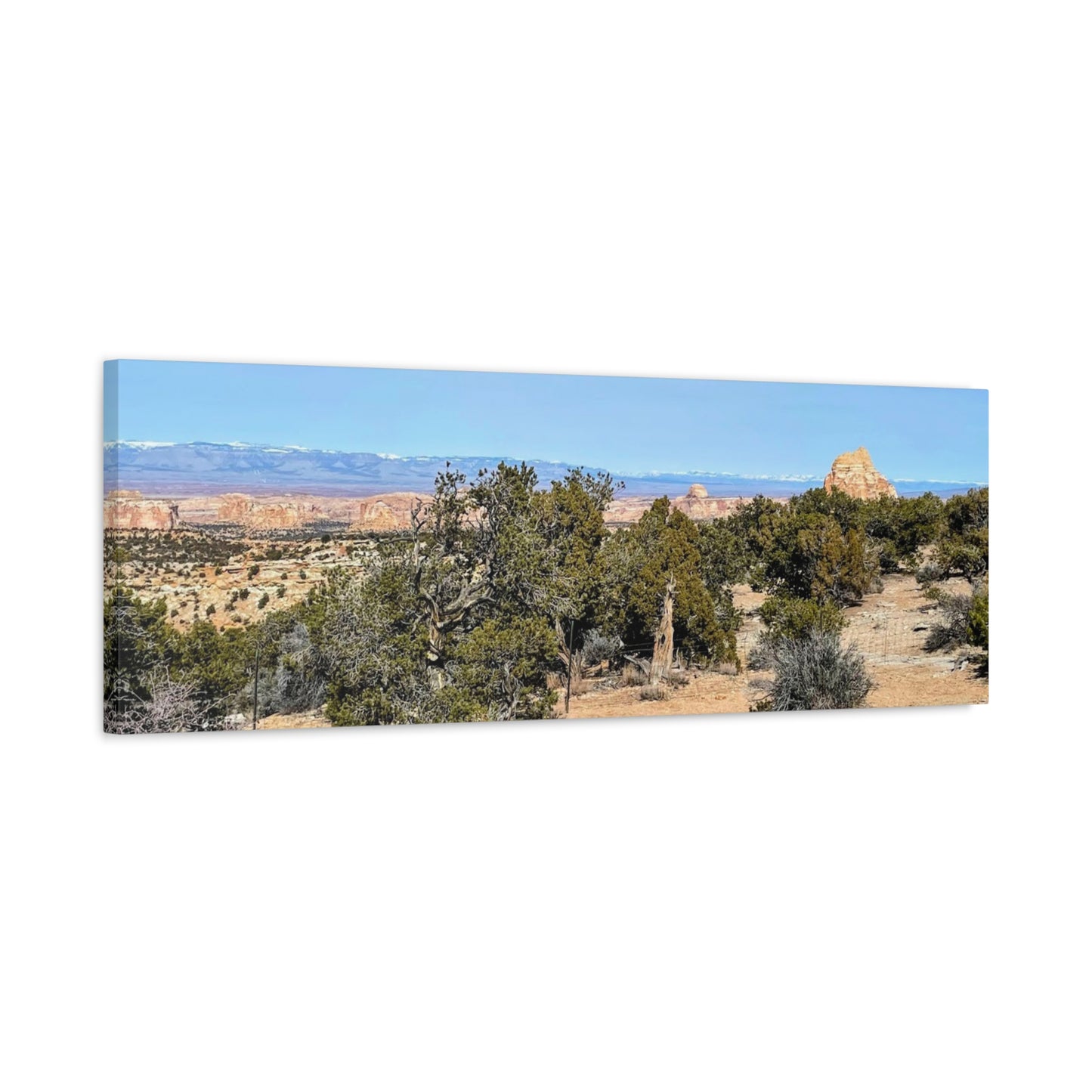 Desert Landscape Canvas Wall Art – 1.25" Matte Stretched Decor for Nature Lovers