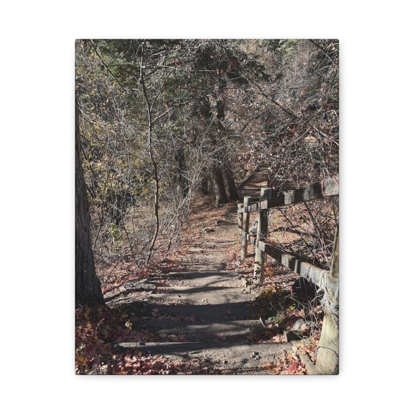 Nature Path Matte Canvas Wall Art - Tranquil Landscape Decor
