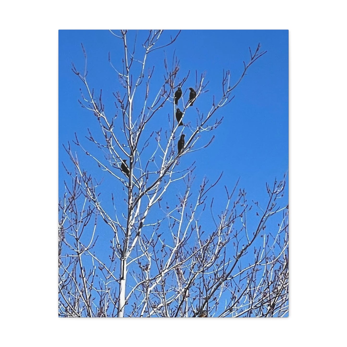 Serene Bird Canvas Wall Art - Tranquil Nature Decor for Home and Office