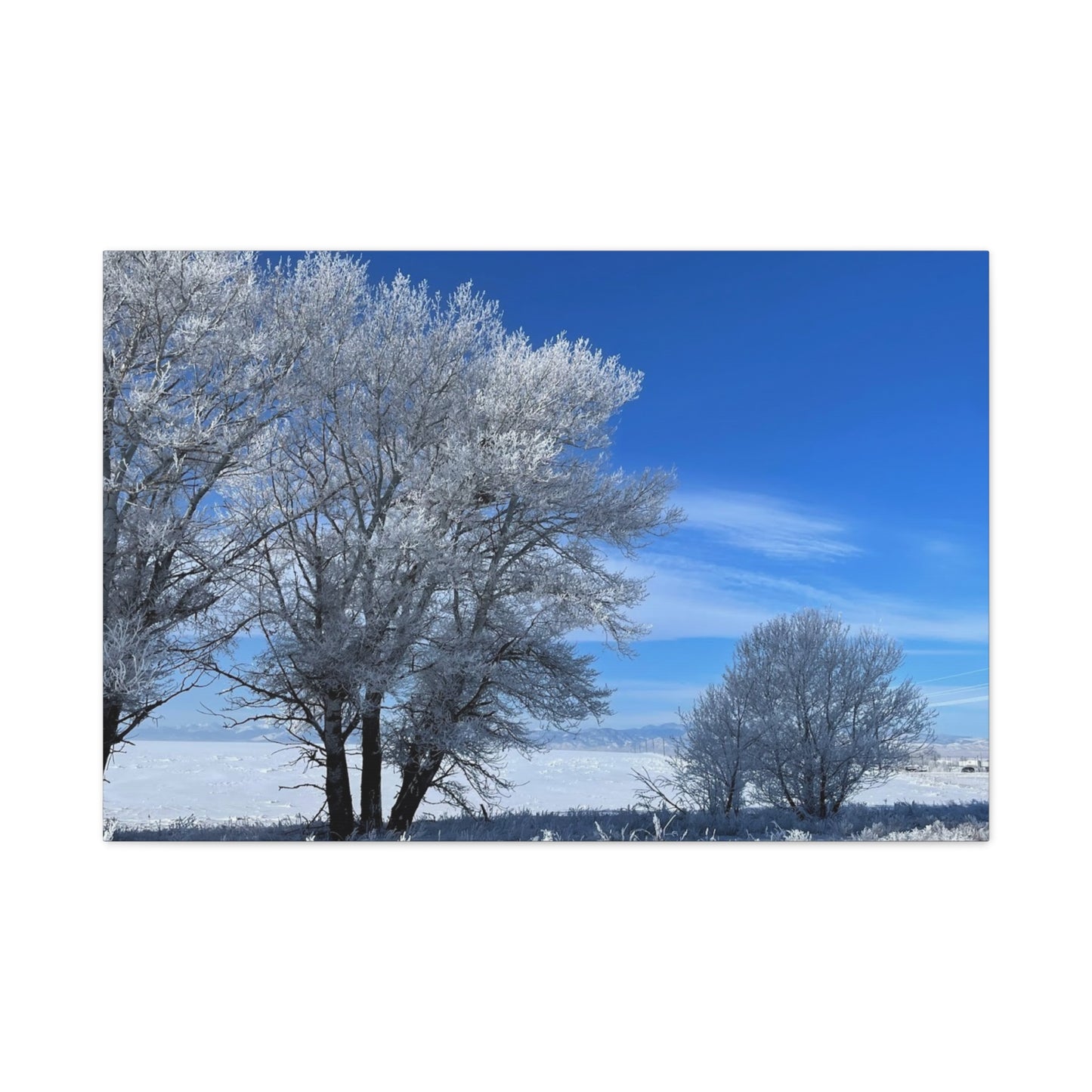 Winter Wonderland Canvas Art