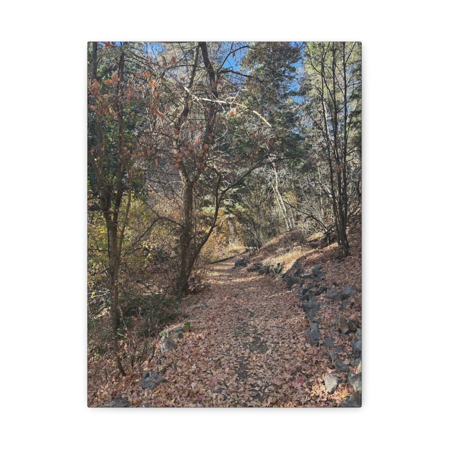 Nature-Inspired Matte Canvas Art - Stretched Wall Decor