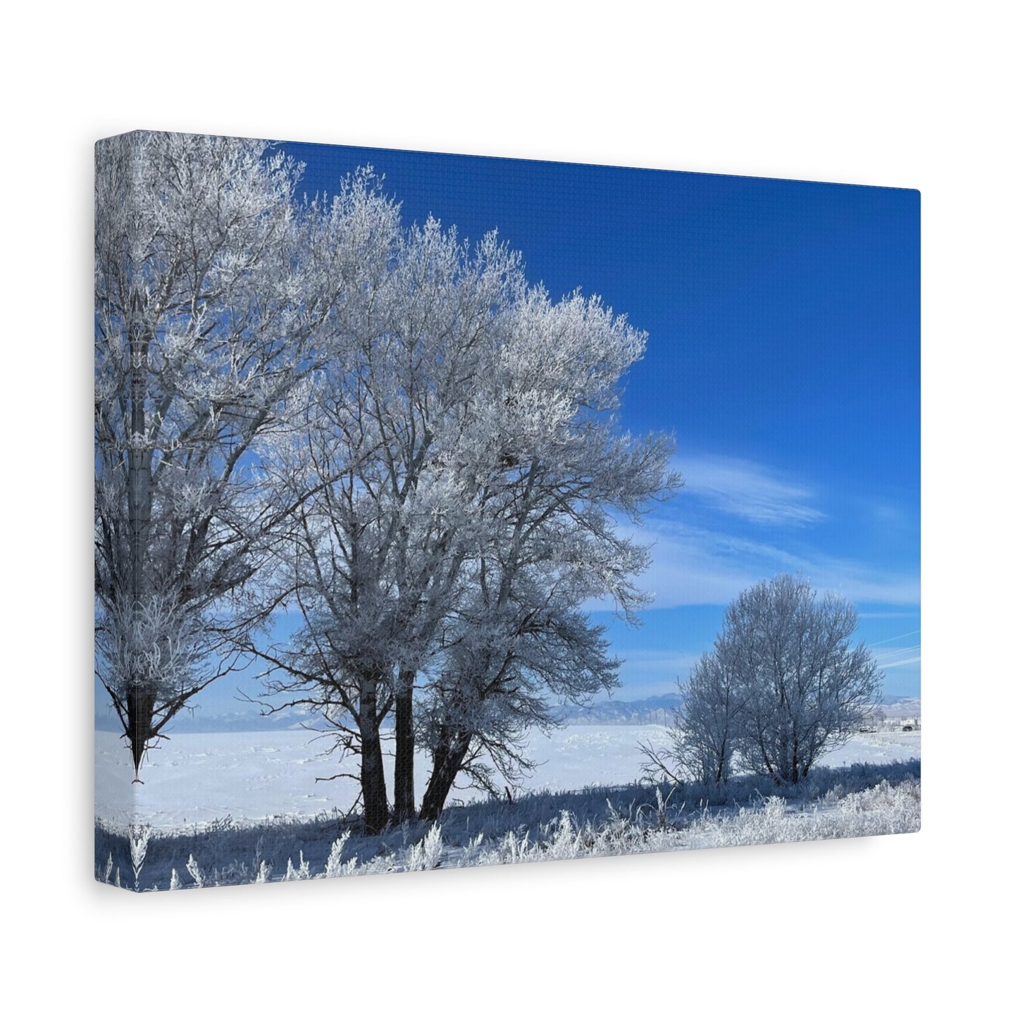 Winter Wonderland Canvas Art