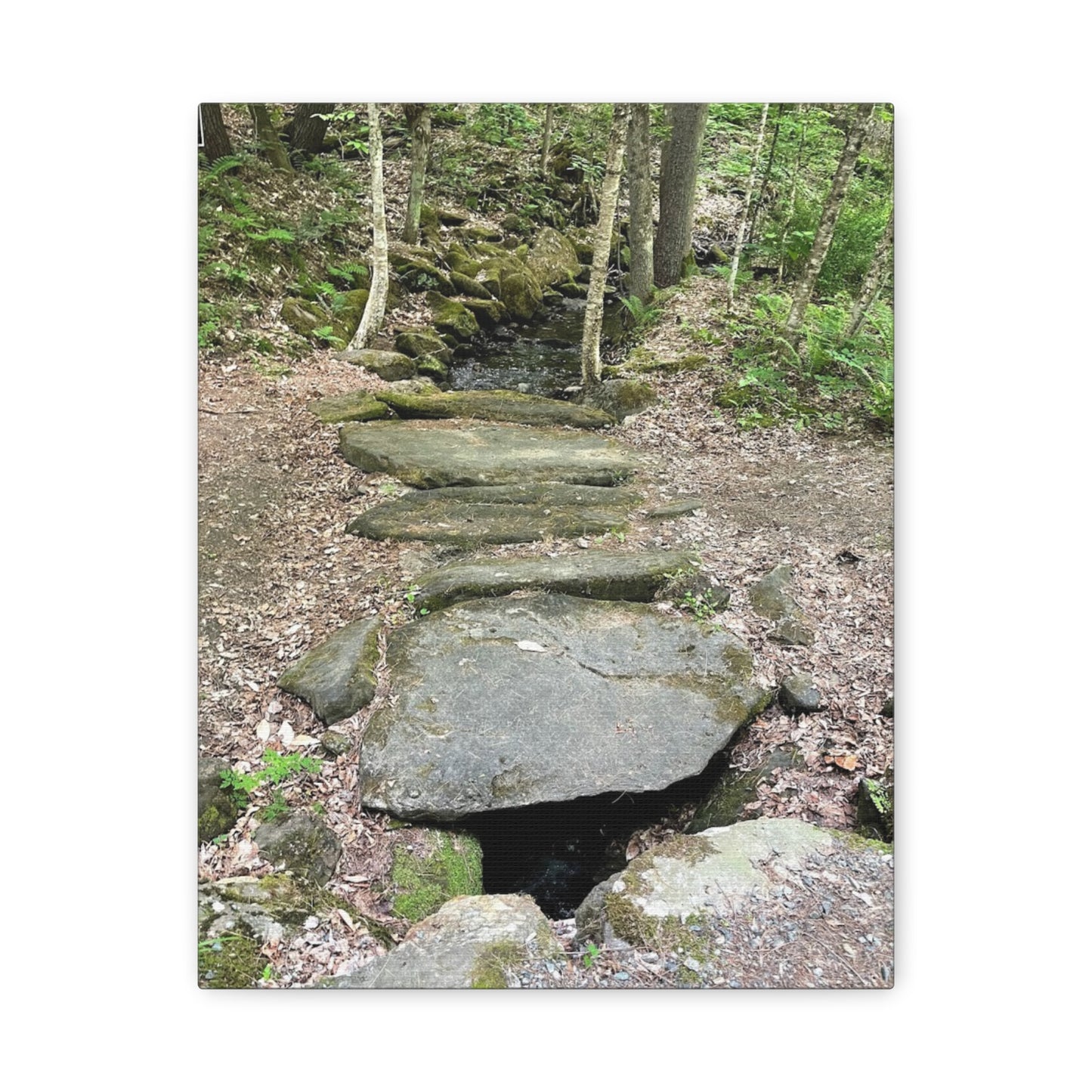 Nature-Inspired Stretched Canvas Art - Serene Stream Pathway Décor