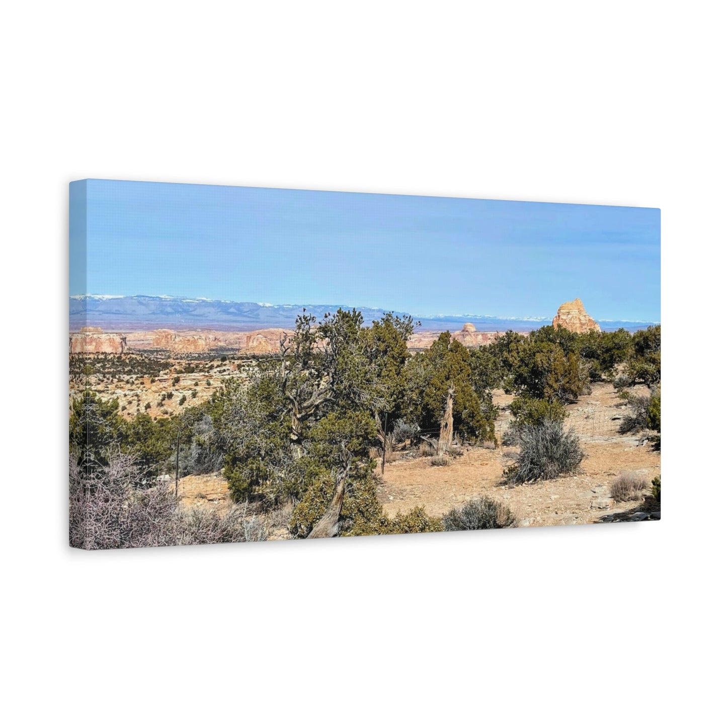 Desert Landscape Canvas Wall Art – 1.25" Matte Stretched Decor for Nature Lovers