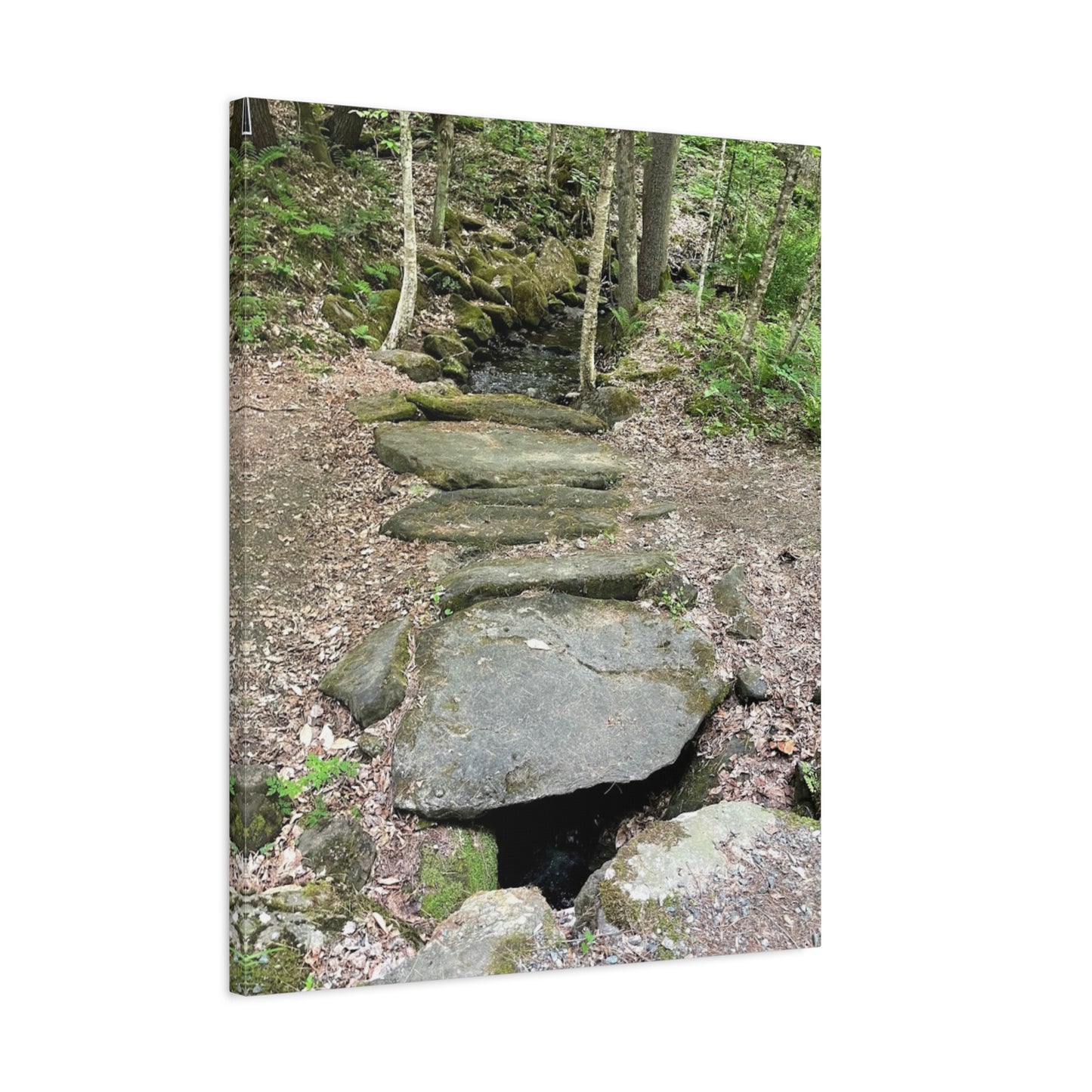 Nature-Inspired Stretched Canvas Art - Serene Stream Pathway Décor