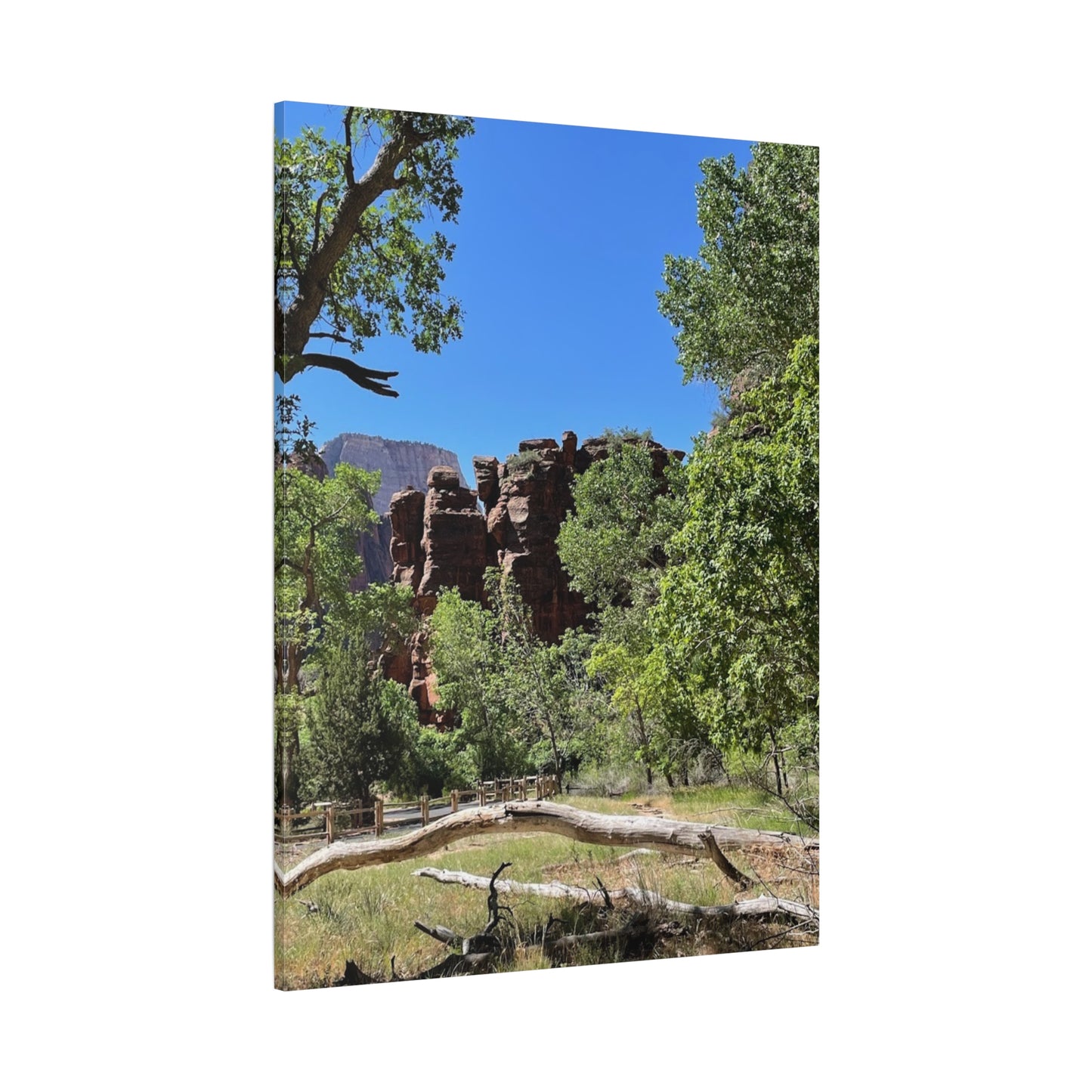 Stretched Canvas Art - Scenic Nature Landscape
