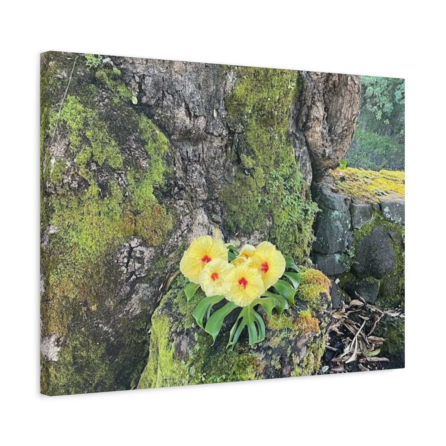 Floral Matte Canvas Art - Yellow Orchid and Moss Decor