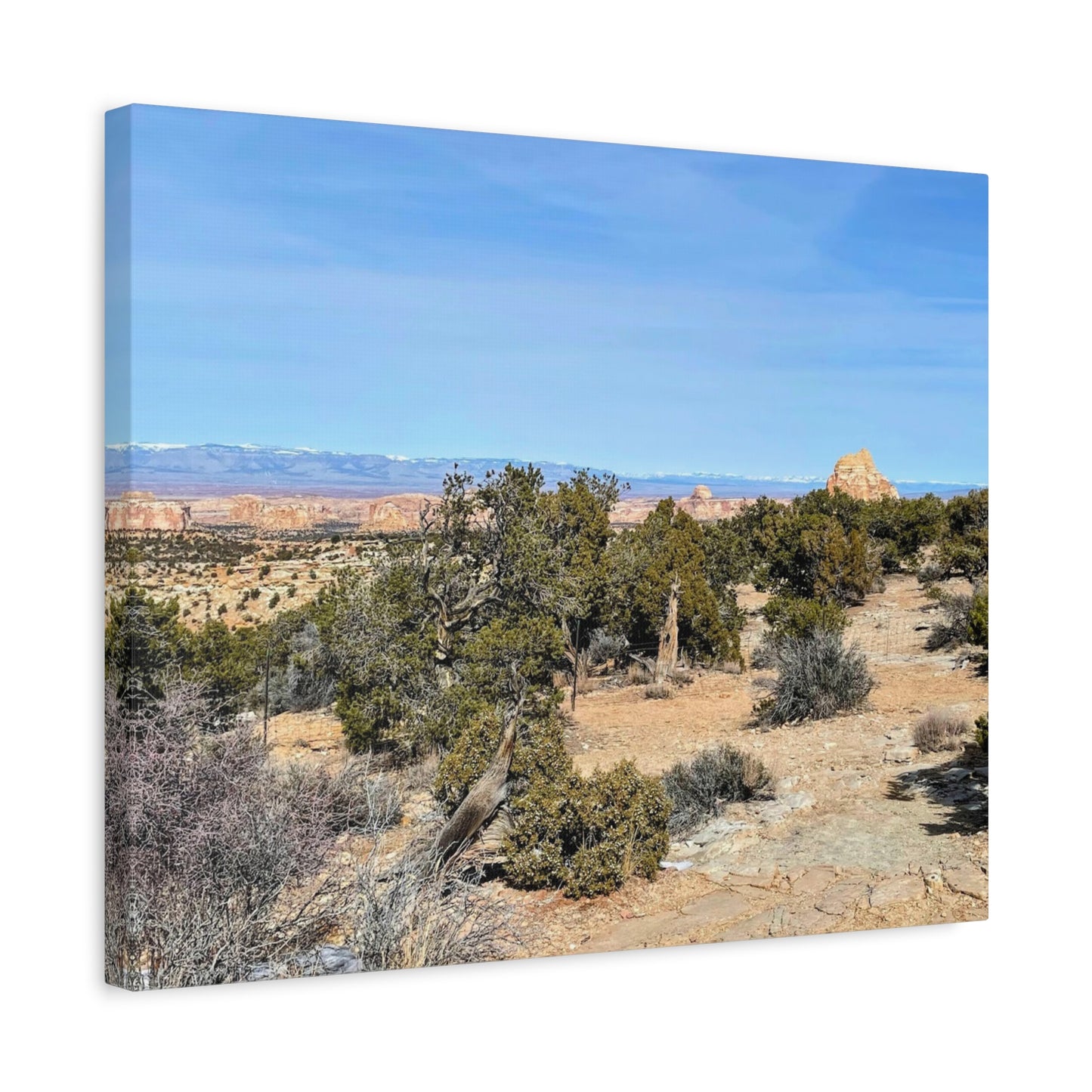 Desert Landscape Canvas Wall Art – 1.25" Matte Stretched Decor for Nature Lovers