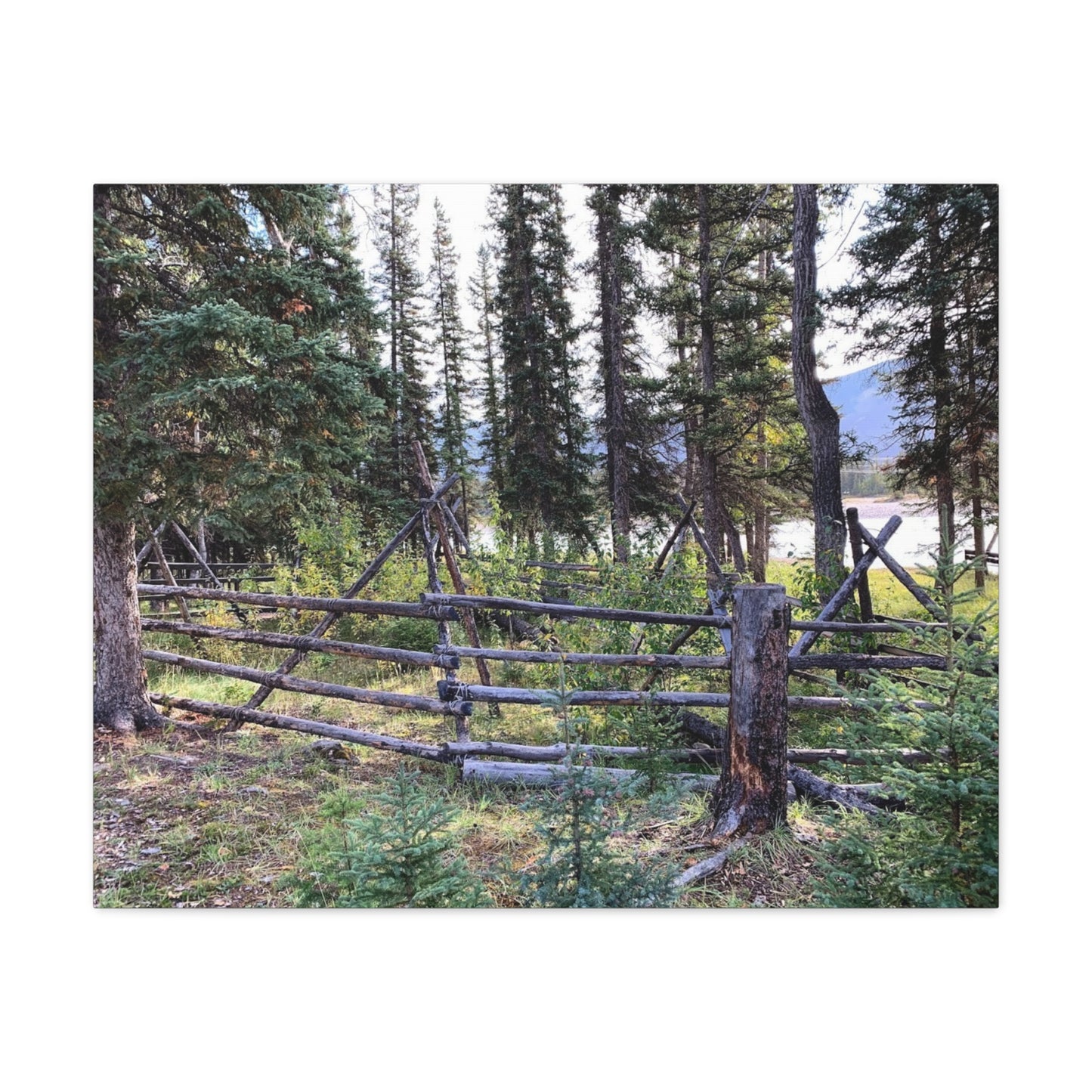 Nature-Inspired Wall Art Canvas Print - Tranquil Forest Scene