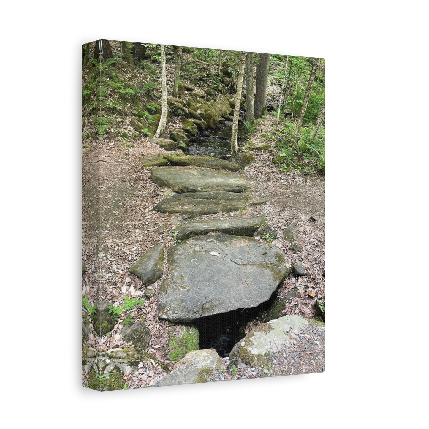 Nature-Inspired Stretched Canvas Art - Serene Stream Pathway Décor