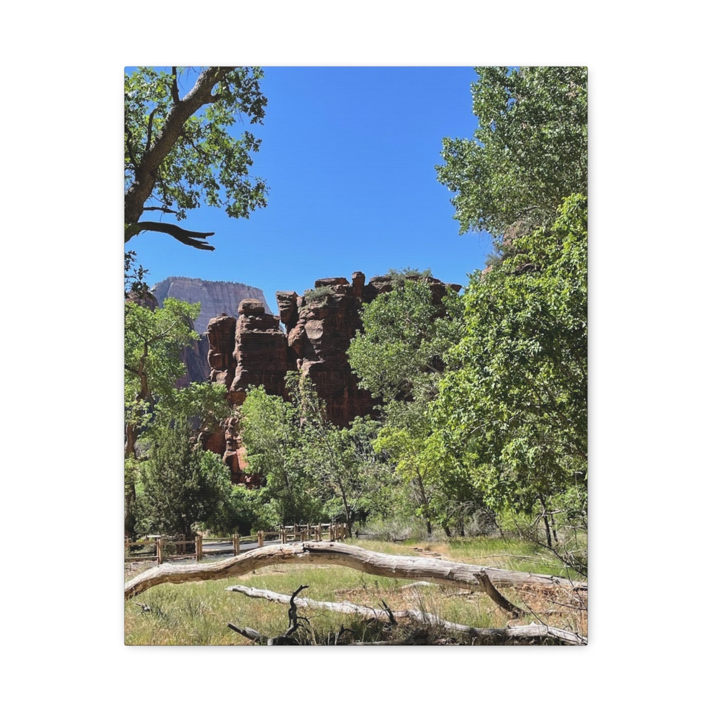 Stretched Canvas Art - Scenic Nature Landscape