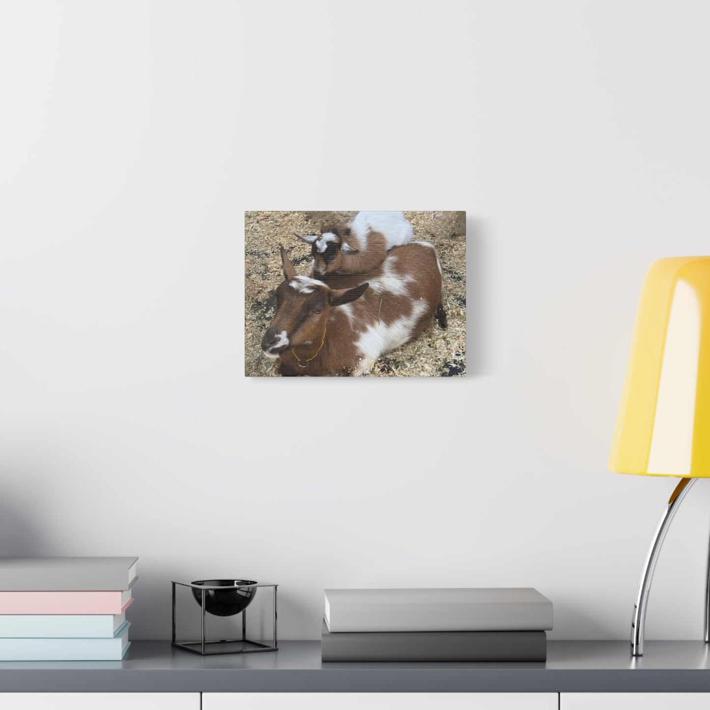 Goat Family Matte Canvas Print - Heartwarming Animal Wall Art
