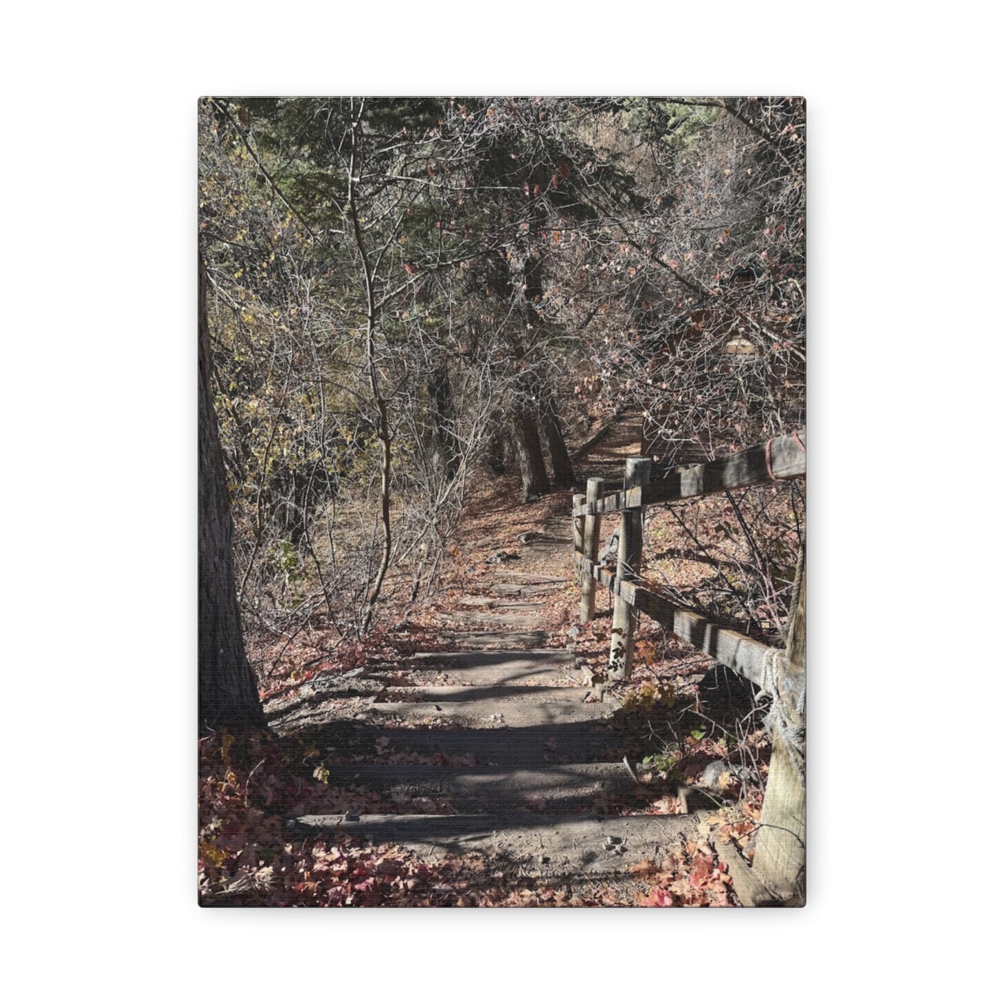 Nature Path Matte Canvas Wall Art - Tranquil Landscape Decor