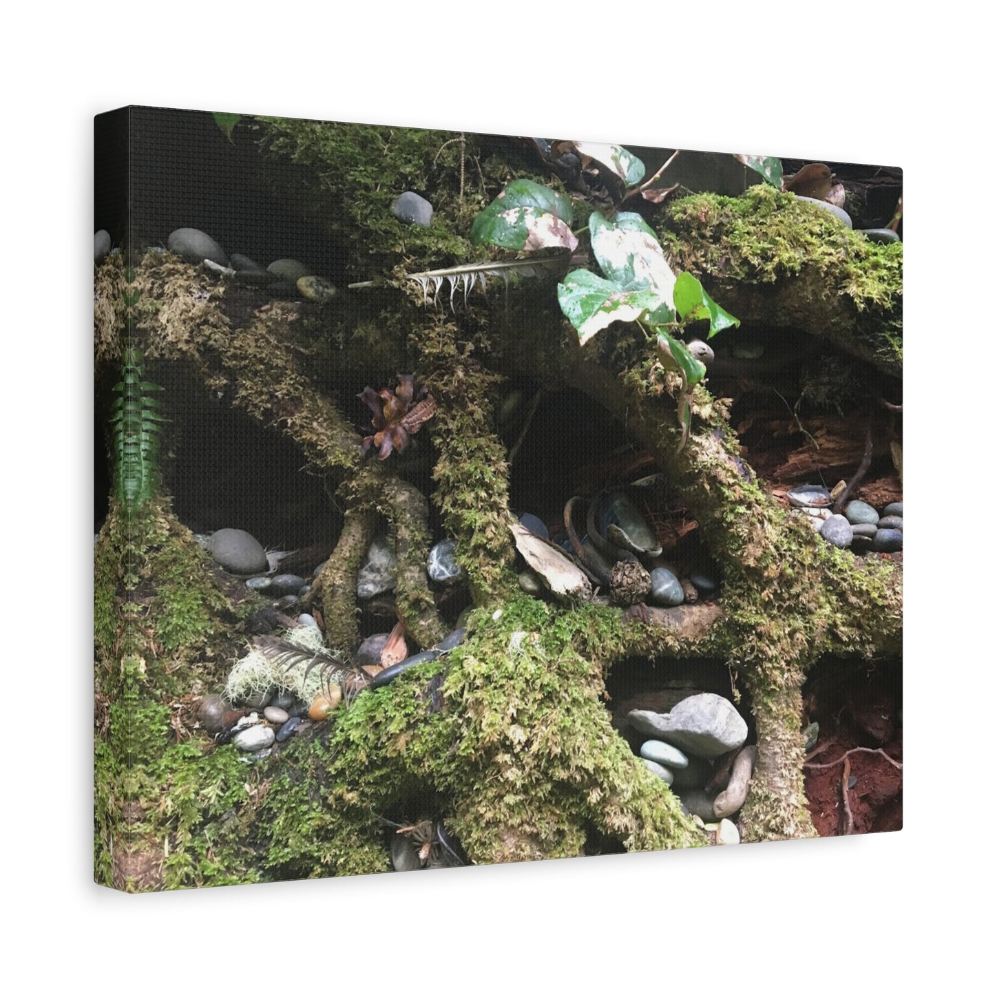Nature-Inspired Matte Canvas Wall Art - Serene Root and Stone Design