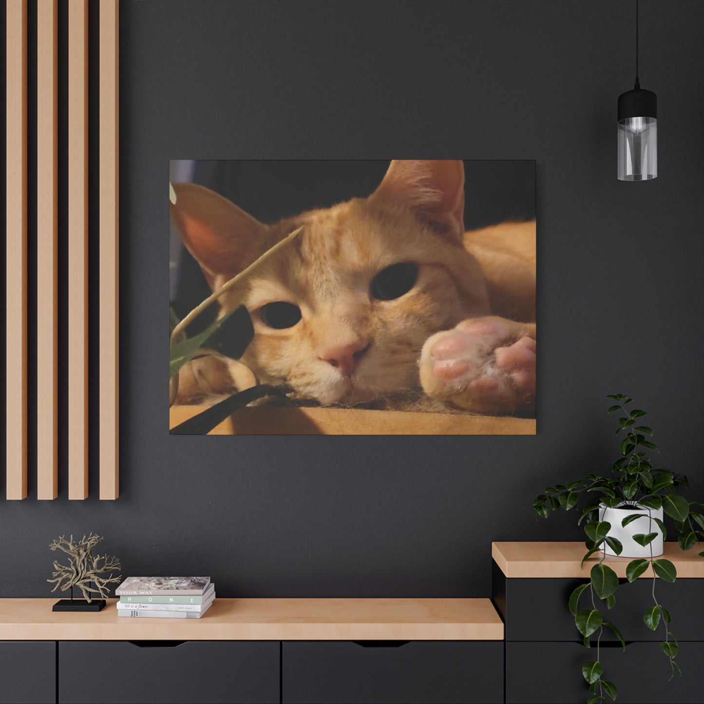 Cozy Cat Canvas Art - Stretched Matte Print for Cat Lovers
