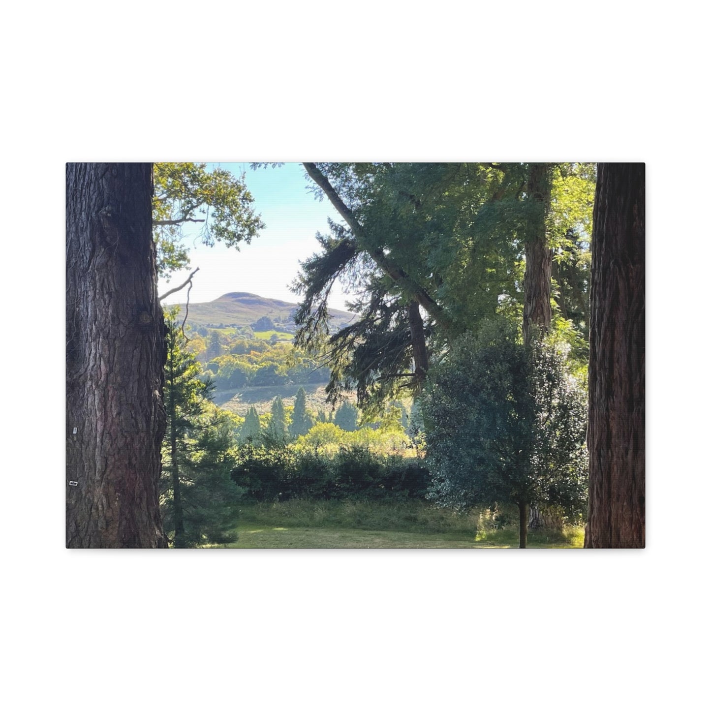 Nature-Inspired Matte Canvas Wall Art - Scenic Landscape Decor