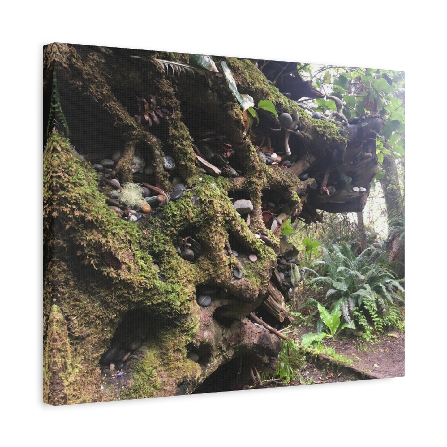 Nature-Inspired Stretched Canvas Art: Enchanted Forest Vibes