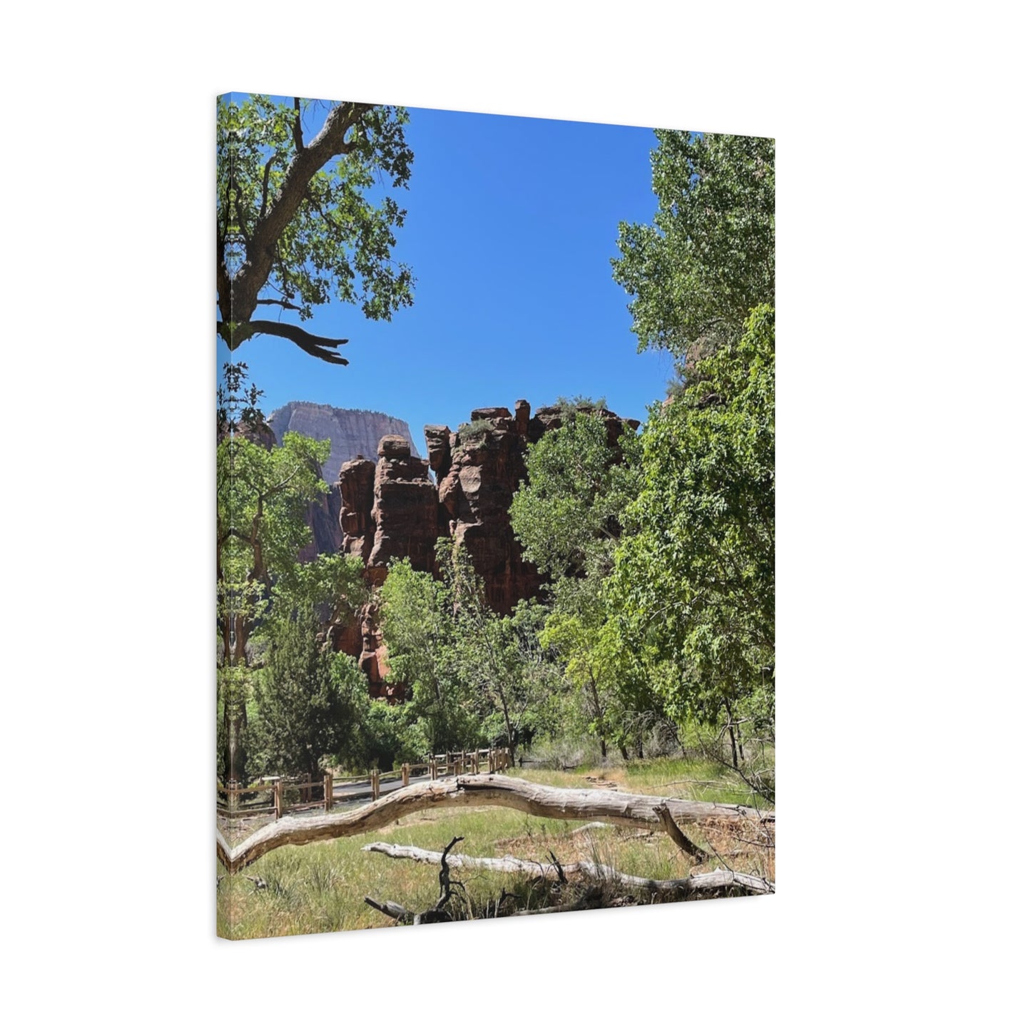Stretched Canvas Art - Scenic Nature Landscape