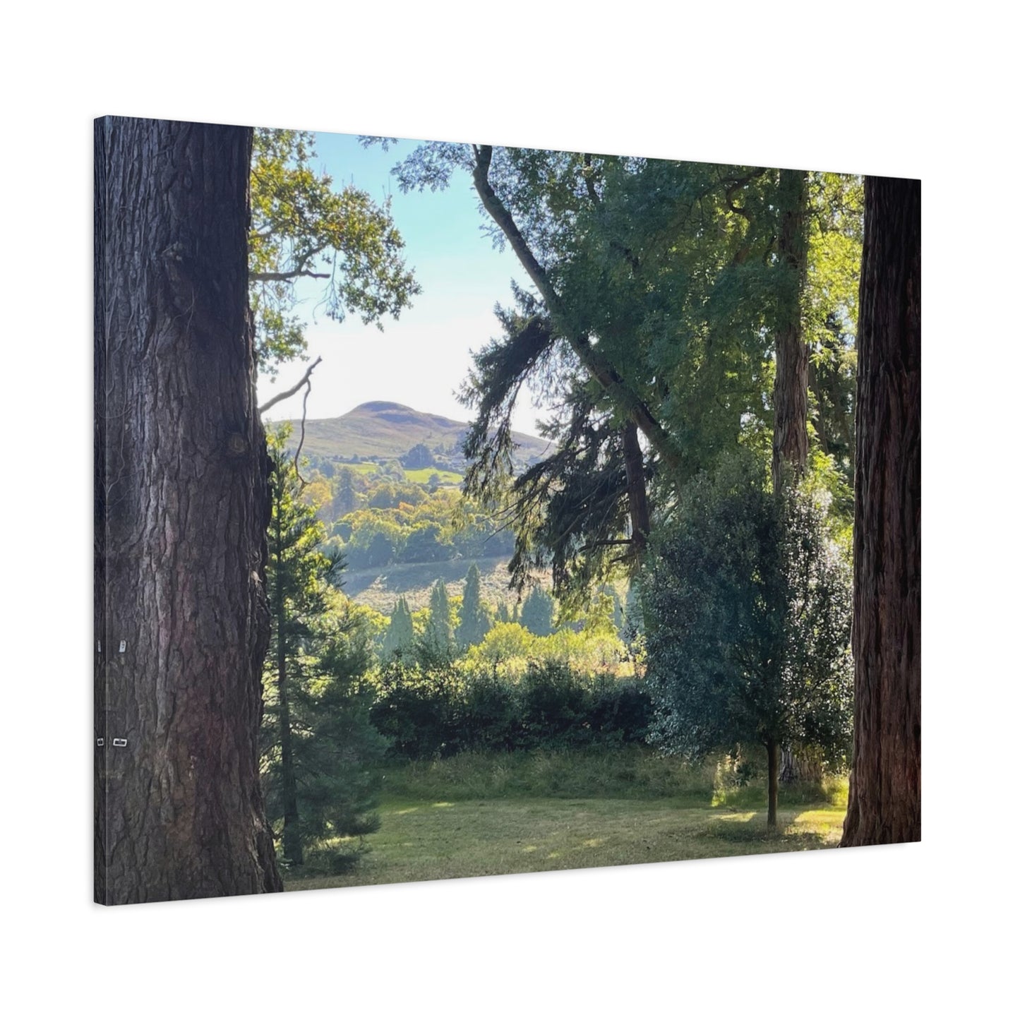 Nature-Inspired Matte Canvas Wall Art - Scenic Landscape Decor