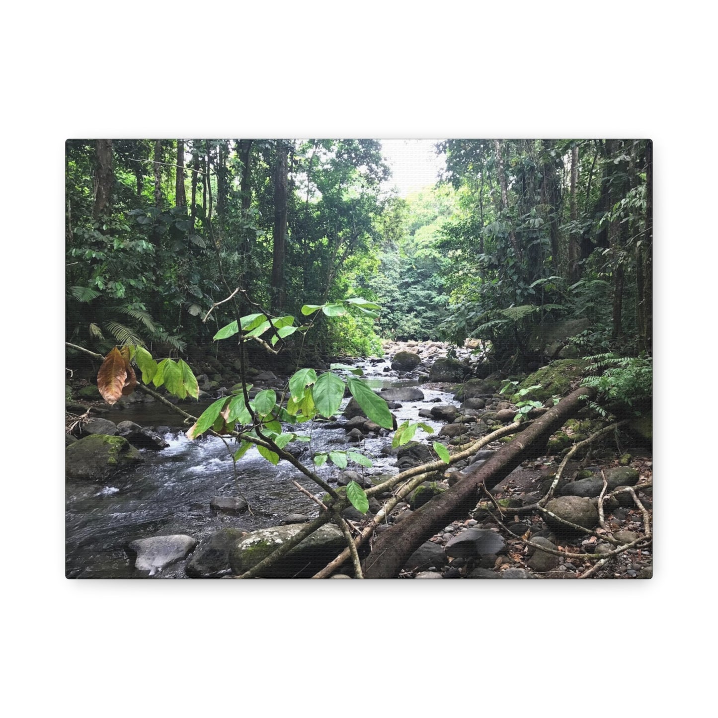 Nature-Inspired Matte Canvas Wall Art - Serene River Scene