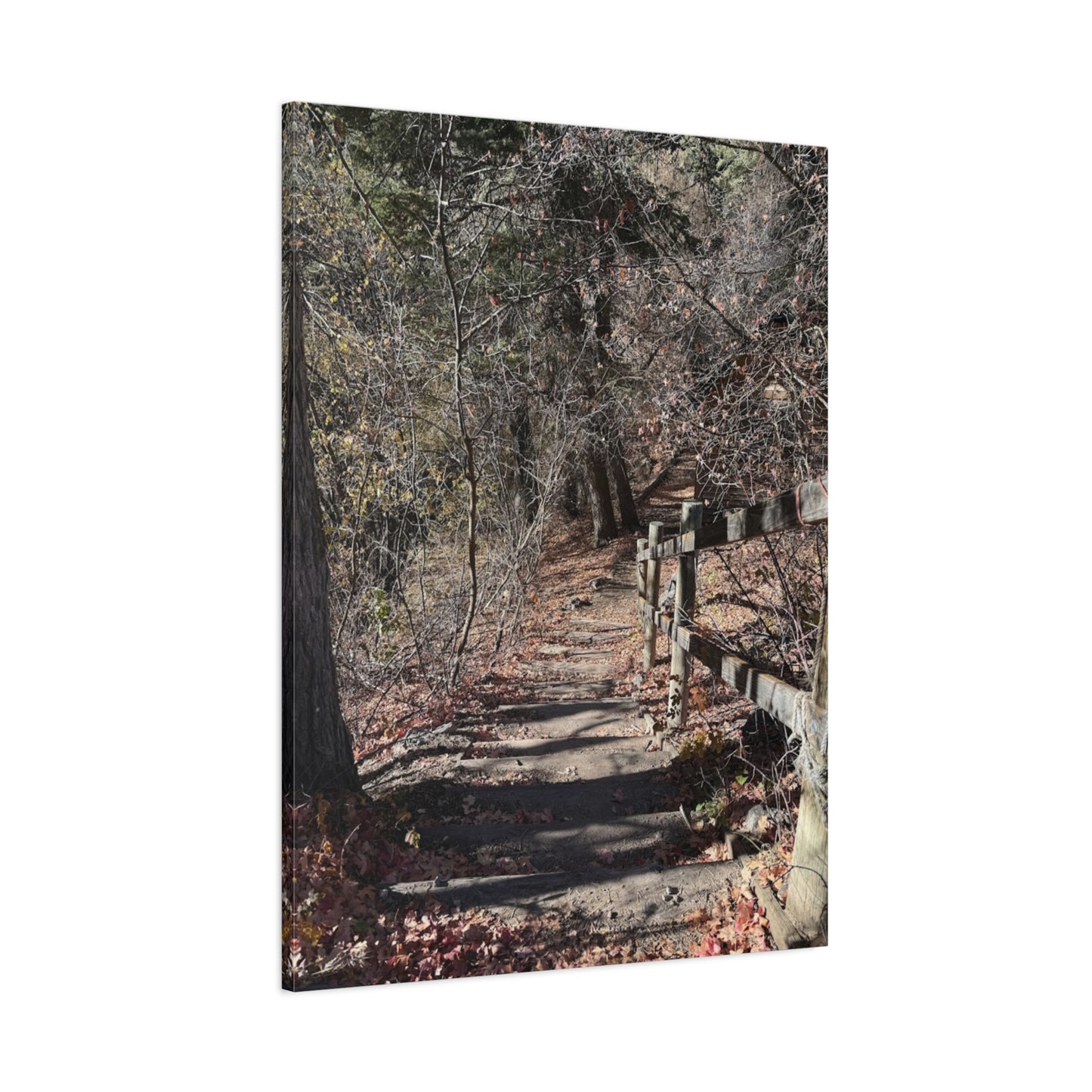 Nature Path Matte Canvas Wall Art - Tranquil Landscape Decor