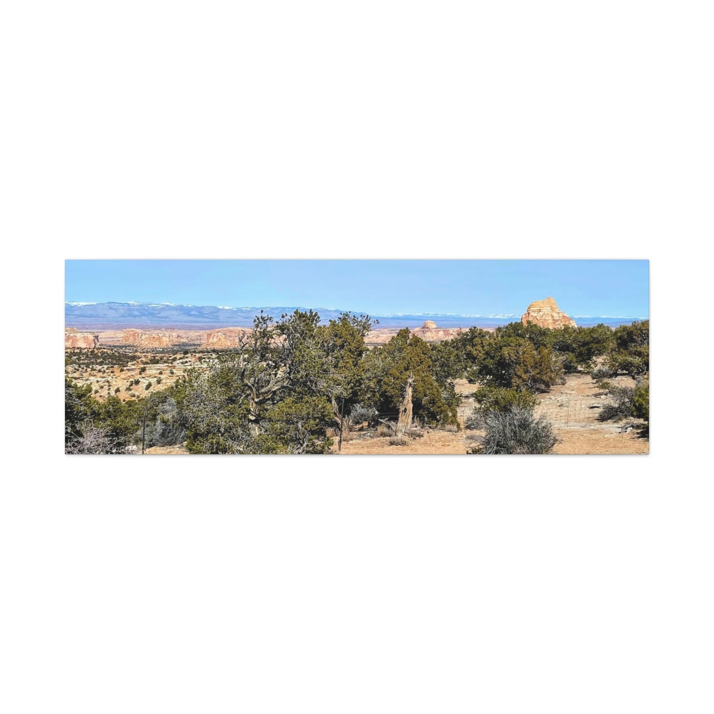 Desert Landscape Canvas Wall Art – 1.25" Matte Stretched Decor for Nature Lovers