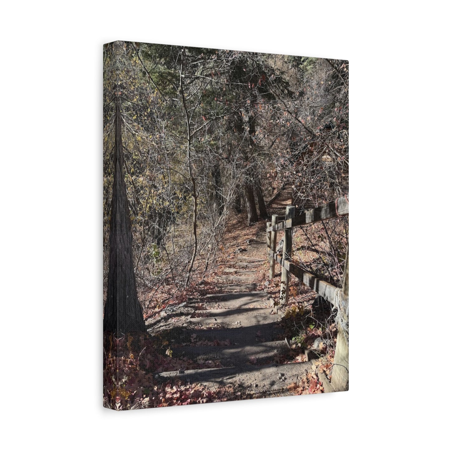 Nature Path Matte Canvas Wall Art - Tranquil Landscape Decor