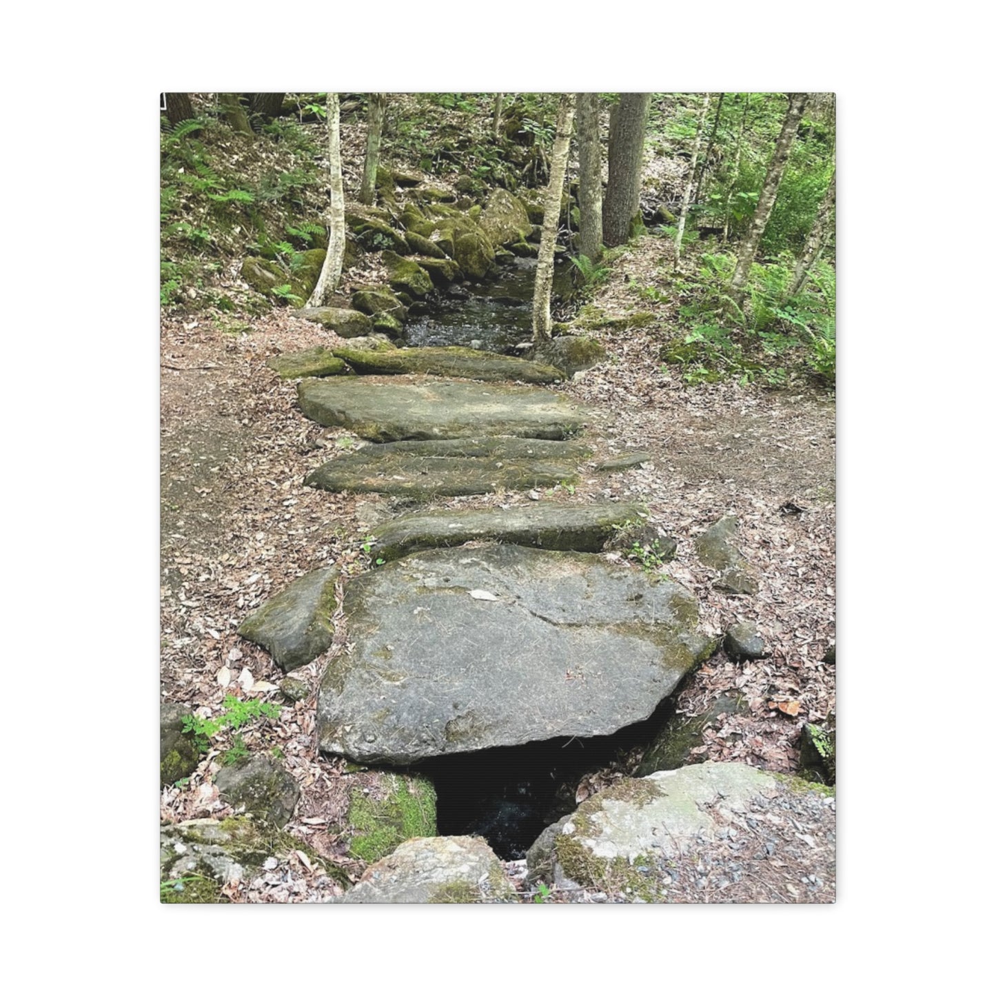 Nature-Inspired Stretched Canvas Art - Serene Stream Pathway Décor