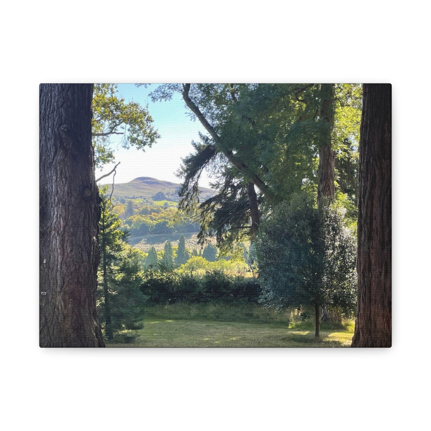 Nature-Inspired Matte Canvas Wall Art - Scenic Landscape Decor